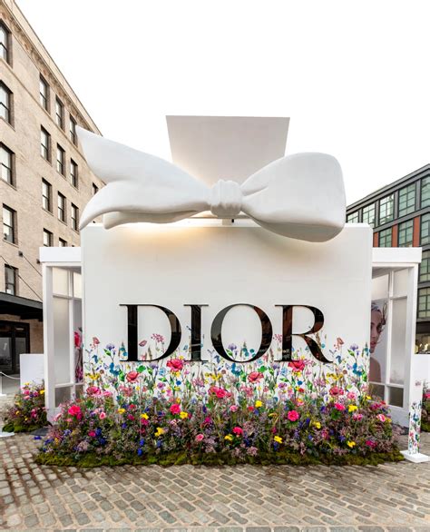 dior dummies|dior flower style.